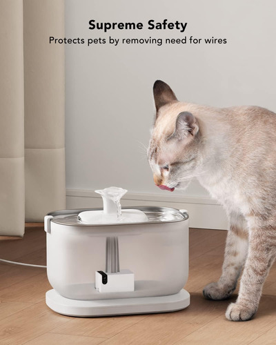 Fuente De Agua Automática Para Gatos Plwf005 Petlibro