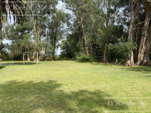 5 Has En Veronica - Chacra En Venta Con Importante Arboleda