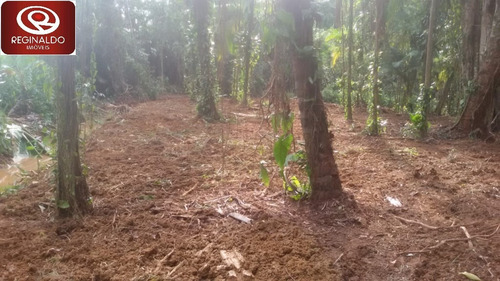 Chácara Para Venda - 13160207