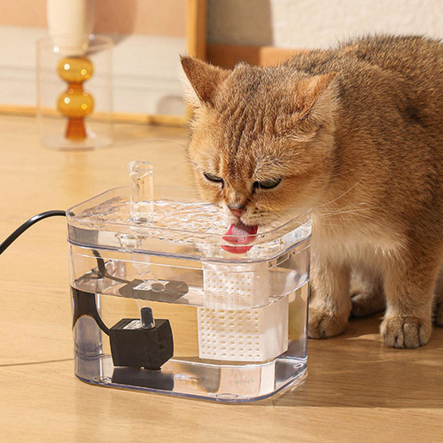 Dispensador De Comida Para Gatos, Cuenco De Agua Ligero Con