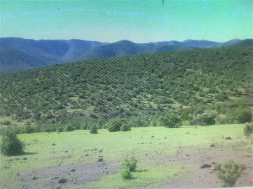 Agrícola En Venta En La Serena