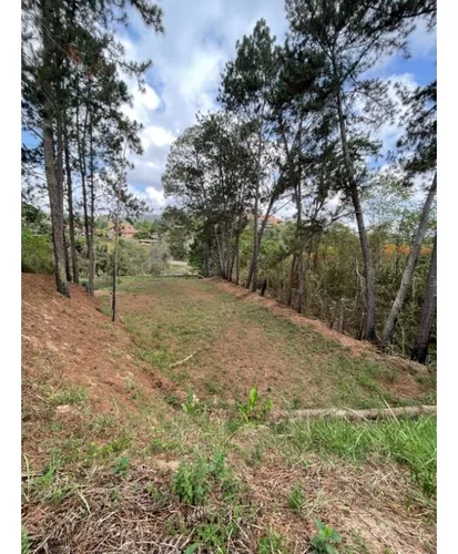 Terreno En La Lagunita