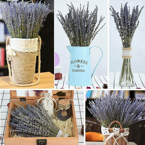 Flores Decorativas De Lavanda Secas, 50 Unidades