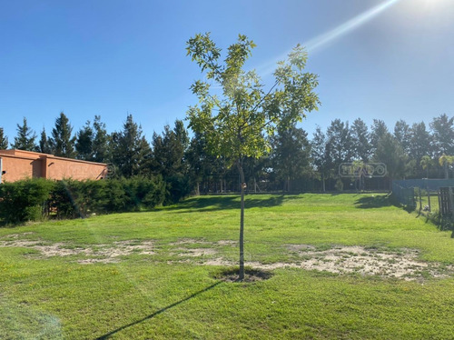 Terreno Lote En Venta Ubicado En San Gabriel, Villanueva, Tigre