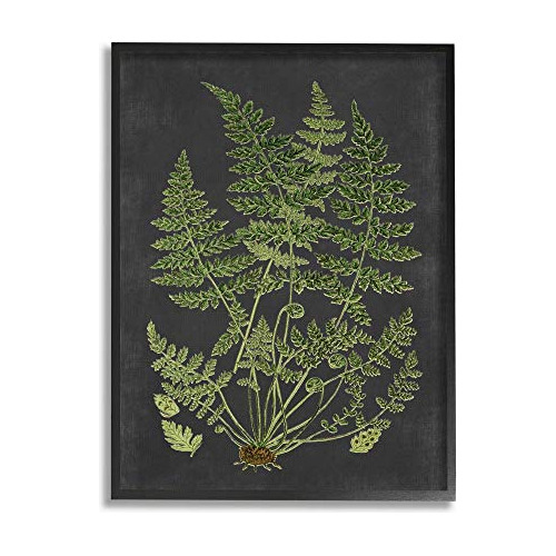 Dibujo Botánico, Diseño Verde Y Negro Lienzo.