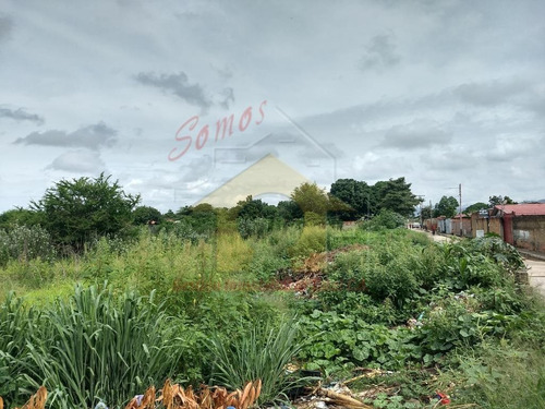 Imagen 4 de 13 de Terreno En Venta Paraparal Los Guayos Vende Angela Garcia Git 0414-3409699