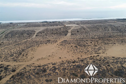 Sitio En Venta En Fundo Lagunillas, Morrillos