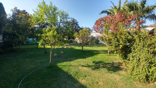 Casa 3 Amb En 1 Planta Con Gran Terreno. Inmejorable Ubicacion.