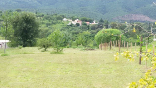 Imagen 5 de 10 de Venta De Lote 4000m2 Ubicado En Bialet Massé