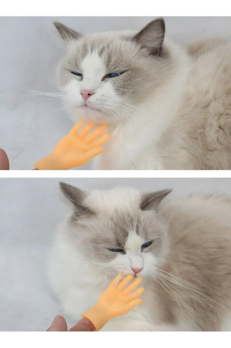 Guantes For Gatos, Divertidos Y Peculiares Mini Yemas De
