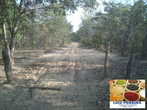 Imagem 6 de 8 de Fazenda À Venda Em Recursolândia - To - 581 Hectares (dupla Aptidão) - 1591