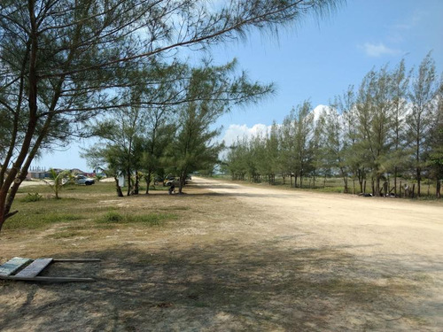 Venta Terreno Con Pozo Y Arroyo 200 Hectáreas Playa Tamiahua Veracruz