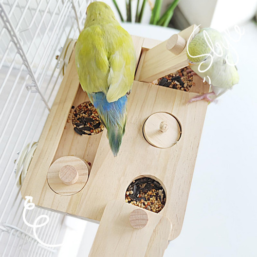 Caja De Forrajeo Para Pájaros, Juguete De Enriquecimiento