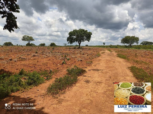 Imagem 5 de 14 de Fazenda À Venda Em Santa Rita Do Pardo - Ms - 650 Hectares (pecuária) - 1657