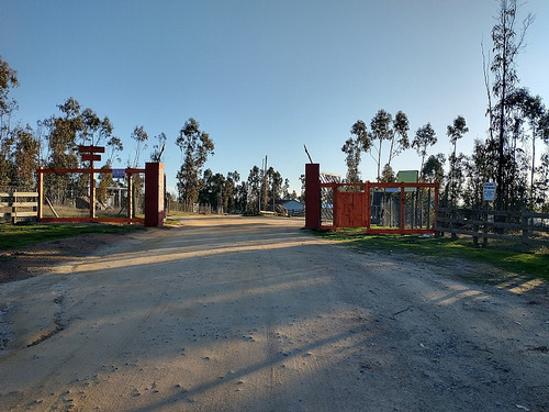 Arriendo Parcela 5.000 M2 Con Casa 5d/1b En Litueche
