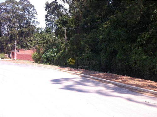 Imagem 9 de 11 de Oportunidade Area - Bairro Cooperativa Com Mais De 5000 M2. - Te0100