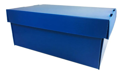 Caixa Organizadora Mini Azul Polibras