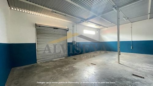 Imagen 7 de 9 de Bodega En Renta En Infonavit Las Flores