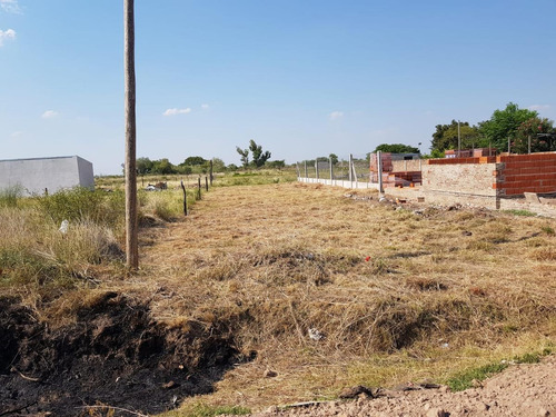 Imagen 4 de 5 de Vendo Terreno En Tostado