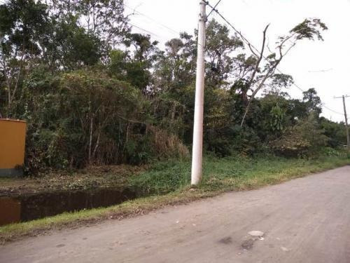 Imagem 2 de 3 de Terreno Chácara Itanhaém Gaivota Lado Serra 1km Da Rodovia.