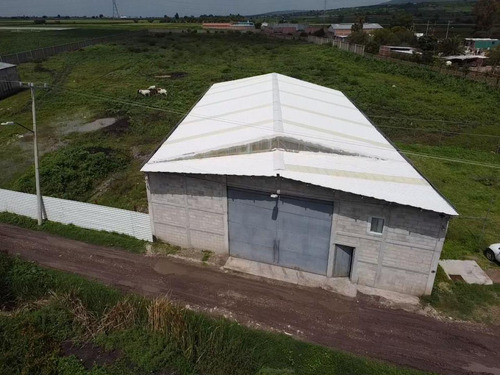 Bodega Industrial En Venta En San Javier, Irapuato, Guanajuato