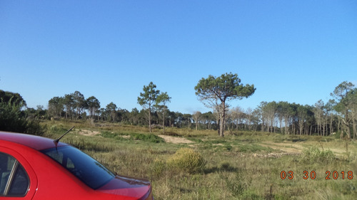 Imagen 4 de 14 de Excelente Terreno En Rocha Punta Del Diablo