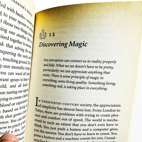 Shambhala -the Secret Path Of The Warrior - Chogyam Trungpa (Usado)