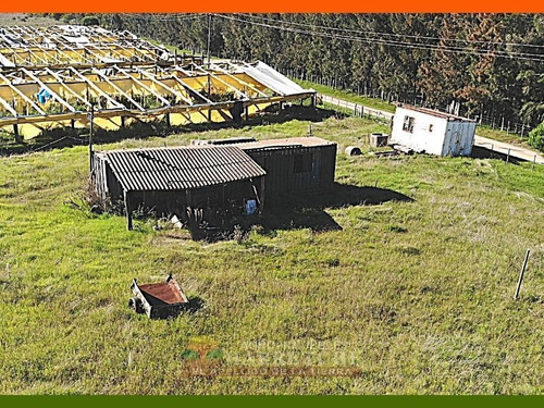 Chacra 10 Has En Venta - Monoambiente En Sauce