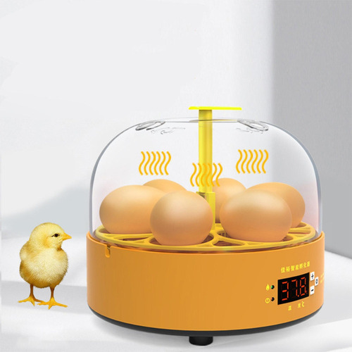 Mini Chocadeira De Ovos Com Giro Automático