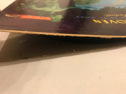Beethoven Sexta Sinfonia En Fa Mayor Disco Vinilo Lp (Usado)