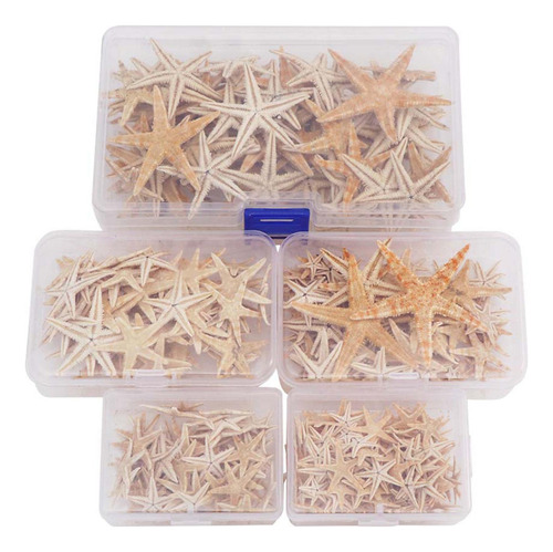 2 Pequeña Natural Para 1-5cm 100 Piezas