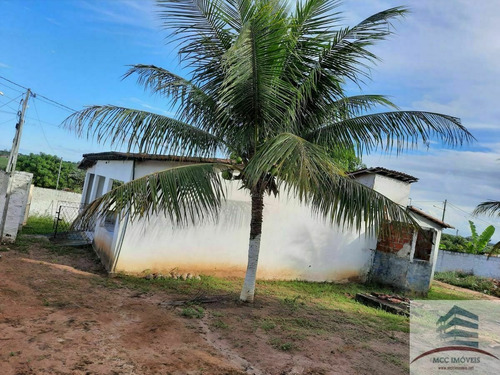 Imagem 11 de 13 de Granja A Venda Massaranduba, Ceara Mirim