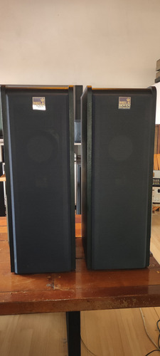 Bafles Brel & Hoven Kb Studio Mm Exlnt 3vias Audiofilo 100w Negro (Usado)