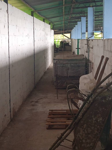 Imagen 5 de 9 de Lic Lino M. Juvinao Vende Finca En San Cristobal