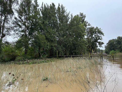 Terreno En Venta En El Delta De Tigre Con Frente Al Río Carapachay