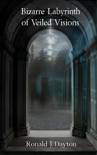 Bizarre Labyrinth Of Veiled Visions, De Dayton, Ronald J.., Vol. 1. Editorial Lulu Pr, Tapa Dura En Inglés