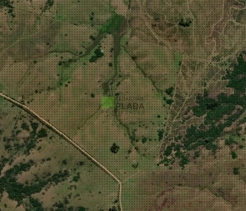 Fraccion De 41 Hás En Carapé, A 51 Kms. De Punta Del Este