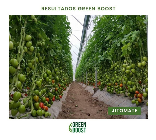 Imagen 4 de 10 de Green Boost Fertilizante Orgánico Líquido 1 Litro