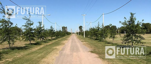 Imagen 2 de 20 de Terreno En Venta En Ibarlucea - Barrio Las Casuarinas 155 M8 - Financiación