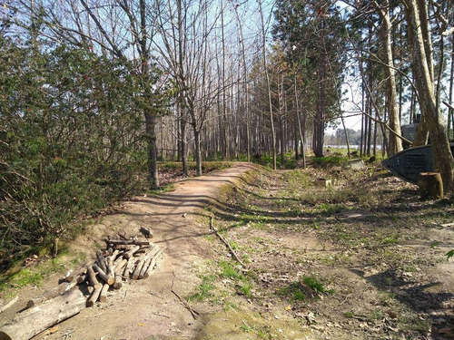 Imagen 8 de 14 de Muy Buena Quinta - Zona Delta San Fernando