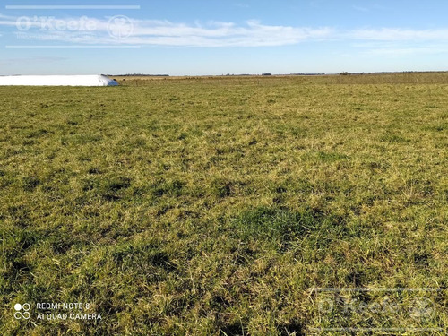 Imagen 20 de 30 de Dolores 210 Has. Campo Mixto En Venta. Excelente Unidad Productiva.