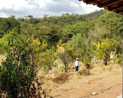 Imagem 18 de 30 de Sitio Em Esmeraldas - Urucuia - St00135 - 69587150