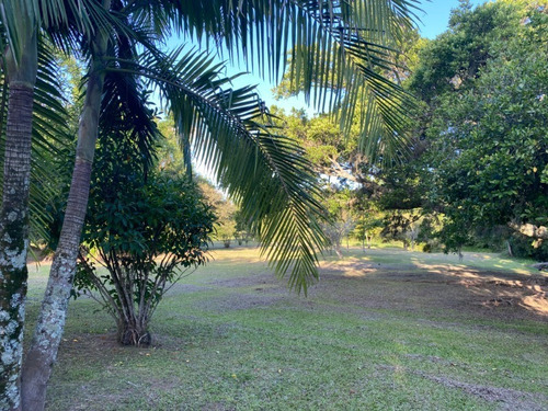 Chácara 8.000 M² - Lomba Grande - Novo Hamburgo - Rs - 2489 - 68909962