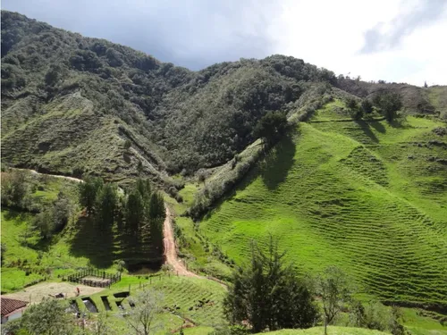 Finca En Venta La Unión Via Abejorral Antioquia. 83 Hectareas