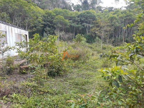 Imagem 19 de 30 de Sitio - St00050 - 68459069