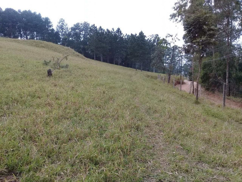 Imagem 8 de 18 de Terreno, Voturuna, Santana De Parnaíba - R$ 1.2 Mi, Cod: 235623 - V235623