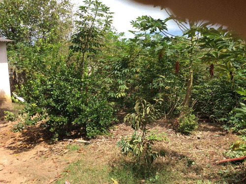 Chácara À Venda, 2000 M² Por R$ 600.000,00 - Bela Vista - Elias Fausto/sp - Ch0027