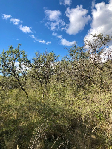 Imagen 6 de 14 de Lote 1840 M2 - Posesion / Quebrada De Los Pozos, Villa De Las Rosas - Traslasierra