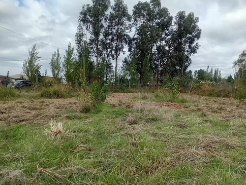 Parcela De 6860mt2 De Superficie, Cerrillo Bascuñan, Molina