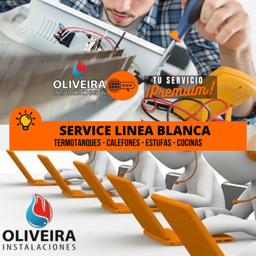 Imagen 2 de 5 de Service-reparacion De Termotanque Electrico-gas Multimarcas!